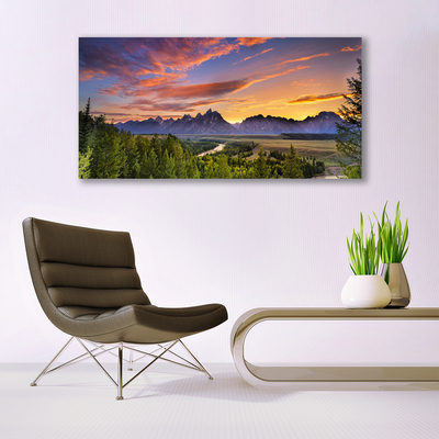 Plexiglas schilderij Sun mountain forest nature