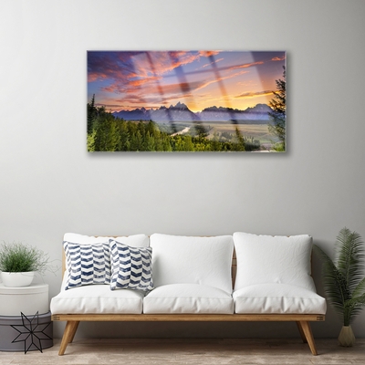 Plexiglas schilderij Sun mountain forest nature