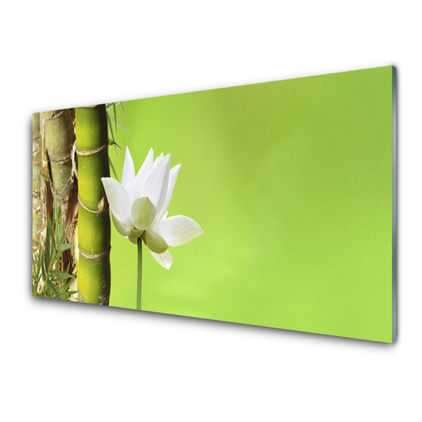 Plexiglas schilderij Bamboo stengelplant nature