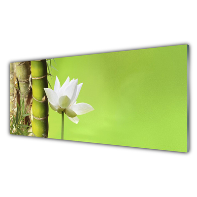 Plexiglas schilderij Bamboo stengelplant nature