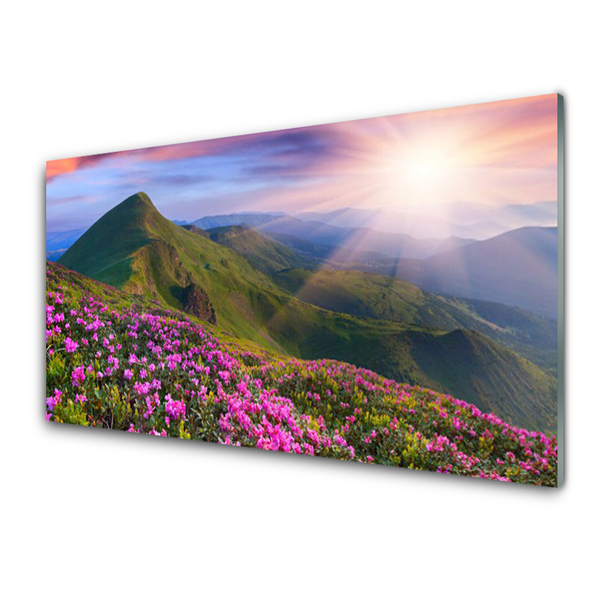 Plexiglas schilderij Mountain meadow flowers landscape