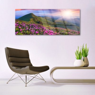 Plexiglas schilderij Mountain meadow flowers landscape