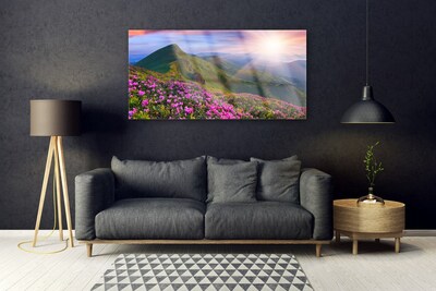 Plexiglas schilderij Mountain meadow flowers landscape