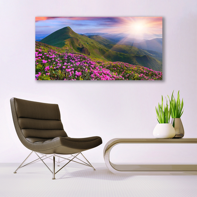 Plexiglas schilderij Mountain meadow flowers landscape