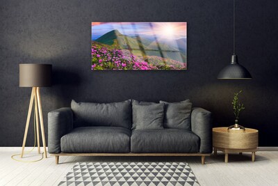 Plexiglas schilderij Mountain meadow flowers landscape