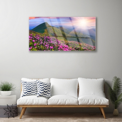 Plexiglas schilderij Mountain meadow flowers landscape