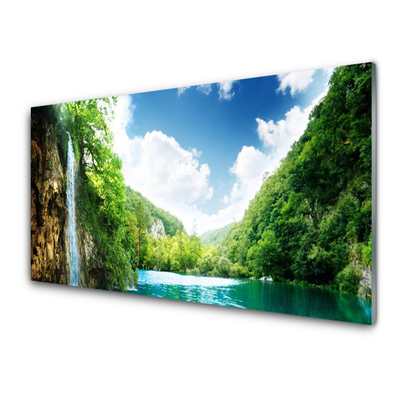 Plexiglas schilderij Forest lake mountain nature