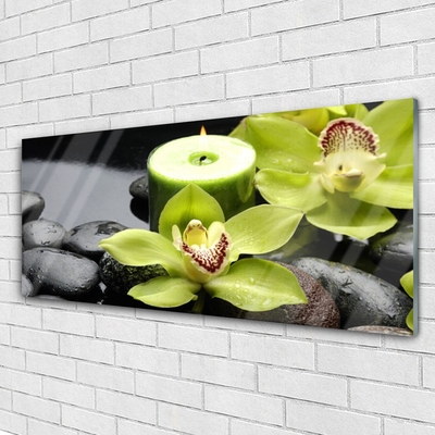 Plexiglas schilderij Orchidee bloemen