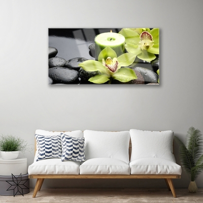 Plexiglas schilderij Orchidee bloemen