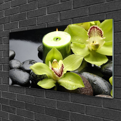 Plexiglas schilderij Orchidee bloemen