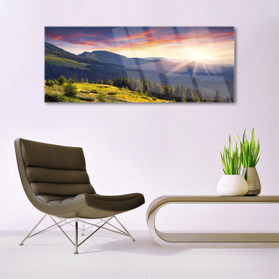 Plexiglas schilderij Sun mountain bos landschap