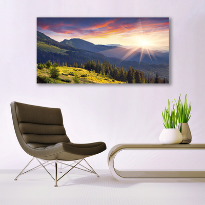 Plexiglas schilderij Sun mountain bos landschap