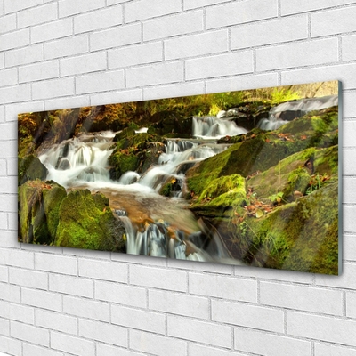 Plexiglas schilderij Rocks natuur van de waterval