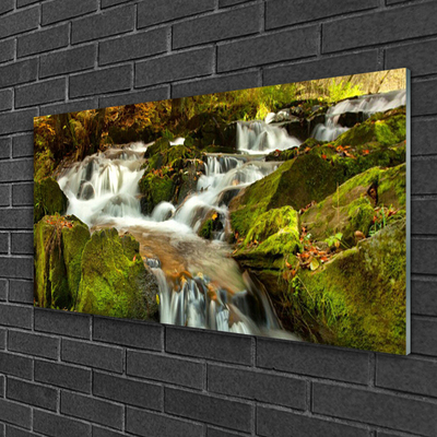 Plexiglas schilderij Rocks natuur van de waterval