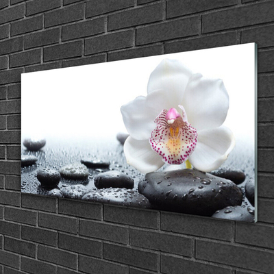 Plexiglas schilderij Orchid flower art