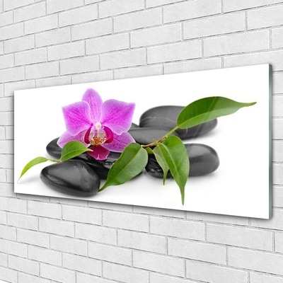 Plexiglas schilderij Orchid flower art