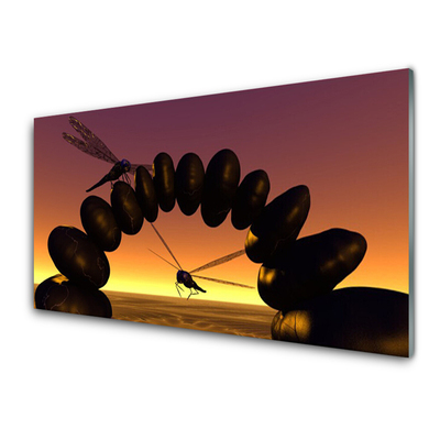 Plexiglas schilderij Art libellen insecten