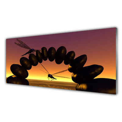 Plexiglas schilderij Art libellen insecten