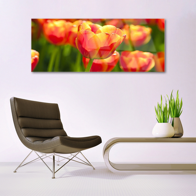 Plexiglas schilderij Tulpen bloemen plant