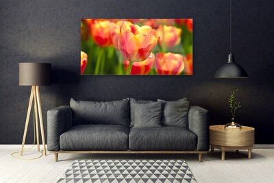 Plexiglas schilderij Tulpen bloemen plant