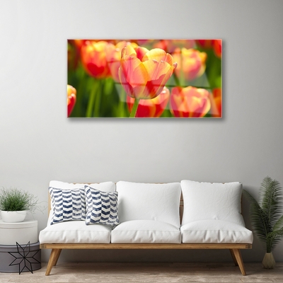 Plexiglas schilderij Tulpen bloemen plant