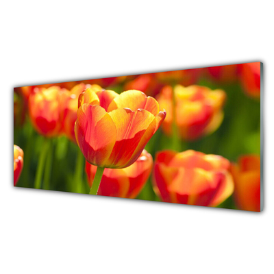 Plexiglas schilderij Tulpen bloemen plant