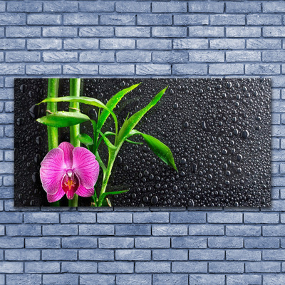 Plexiglas schilderij Bamboo flower drops