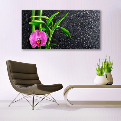 Plexiglas schilderij Bamboo flower drops