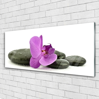 Plexiglas schilderij Orchidee bloem orchidee