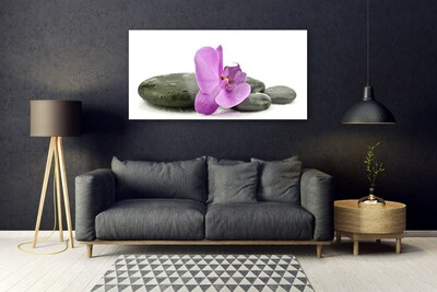 Plexiglas schilderij Orchidee bloem orchidee