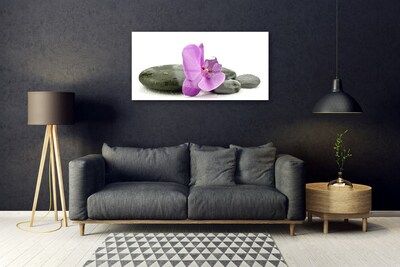Plexiglas schilderij Orchidee bloem orchidee