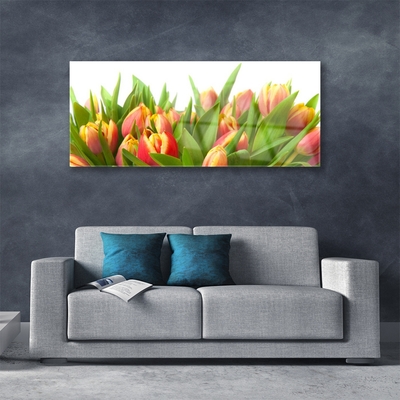 Plexiglas schilderij Tulpen bloemen plant