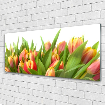 Plexiglas schilderij Tulpen bloemen plant