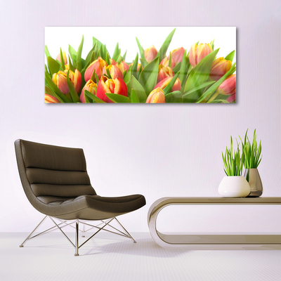 Plexiglas schilderij Tulpen bloemen plant