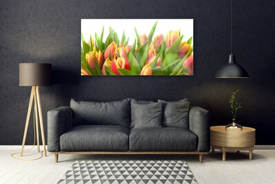 Plexiglas schilderij Tulpen bloemen plant