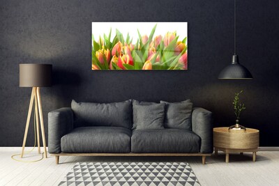 Plexiglas schilderij Tulpen bloemen plant