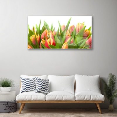 Plexiglas schilderij Tulpen bloemen plant