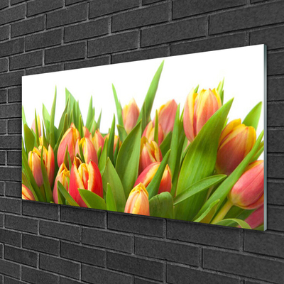 Plexiglas schilderij Tulpen bloemen plant