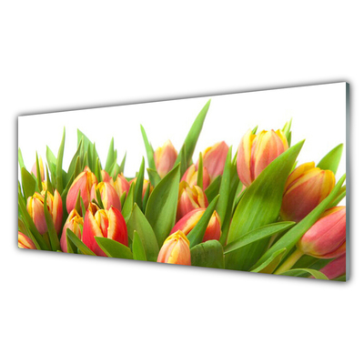 Plexiglas schilderij Tulpen bloemen plant