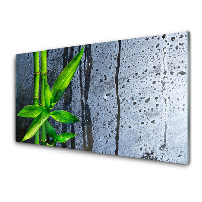 Plexiglas schilderij Bamboo leaf nature plant