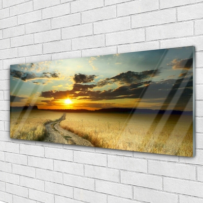 Plexiglas schilderij Lane veld landschap