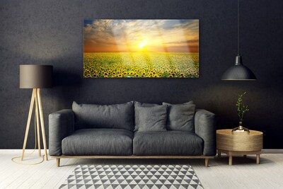 Plexiglas schilderij Zon meadow zonnebloemen