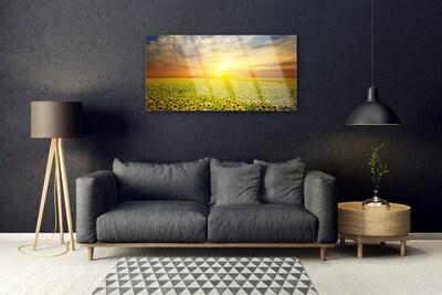 Plexiglas schilderij Zon meadow zonnebloemen