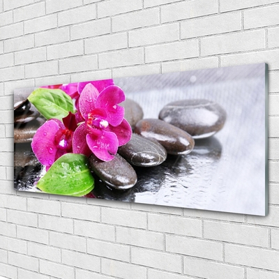 Plexiglas schilderij Flower orchideeinstallatie