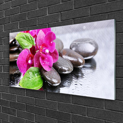 Plexiglas schilderij Flower orchideeinstallatie