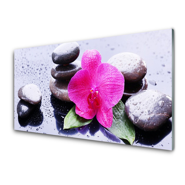 Plexiglas schilderij Orchid flower art