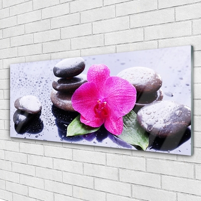 Plexiglas schilderij Orchid flower art