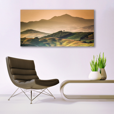 Plexiglas schilderij Veld bergen landschap