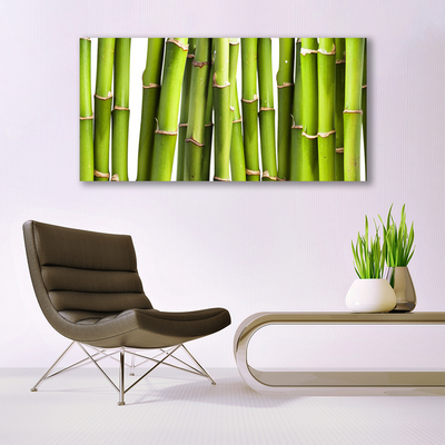 Plexiglas schilderij Installatie van het bamboe nature