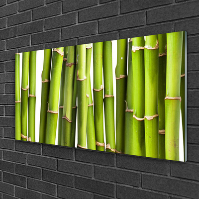 Plexiglas schilderij Installatie van het bamboe nature